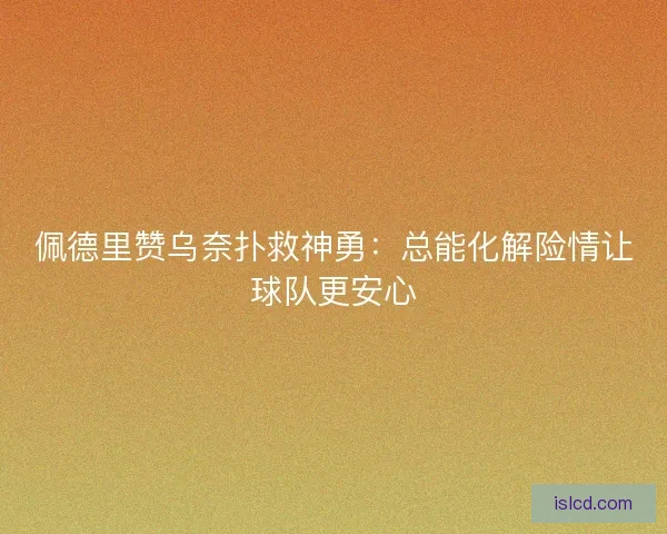 佩德里赞乌奈扑救神勇：总能化解险情让球队更安心