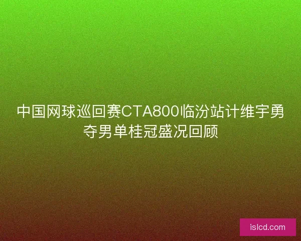 中国网球巡回赛CTA800临汾站计维宇勇夺男单桂冠盛况回顾